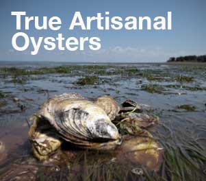 True Artisanal Oysters