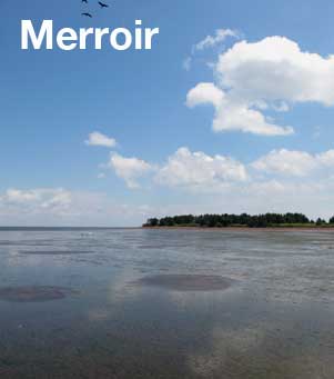 Merroir